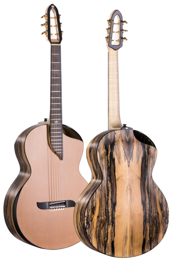 Gitara z 2 otworami rezonansowymi