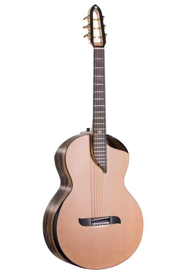 Gitara akustyczna współczesna