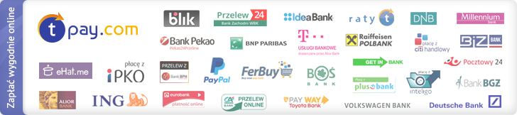 Umożliwiamy szybkie płatności internetowe za pomocą serwisu tpay.com